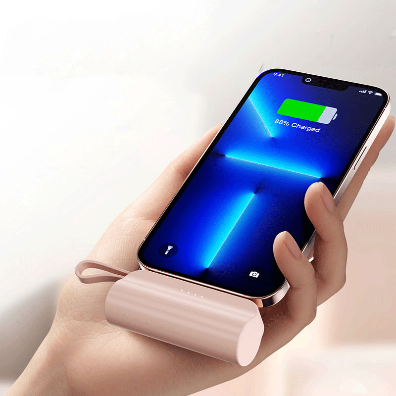 DualPort PowerBank